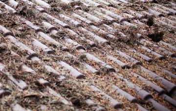 Coley roof cleaning companies